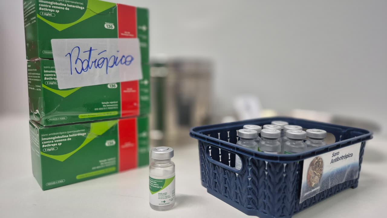 Saúde alerta para riscos e orienta sobre primeiros socorros em casos de picadas de cobra