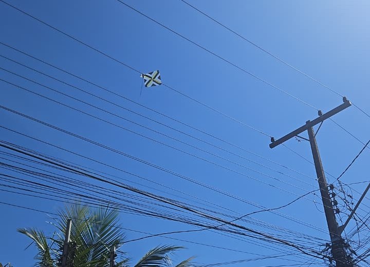 Pipas na rede elétrica podem deixar milhares de pessoas sem energia, alerta Equatorial Goiás  Subtítulo: